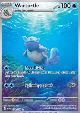 Wartortle 171