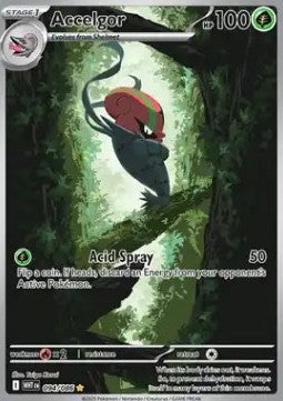 Accelgor 094