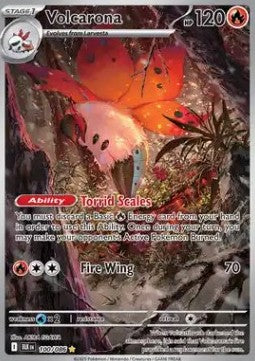 Volcarona 100